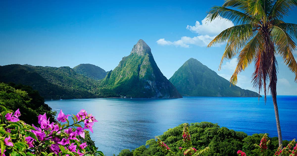 travel form st lucia