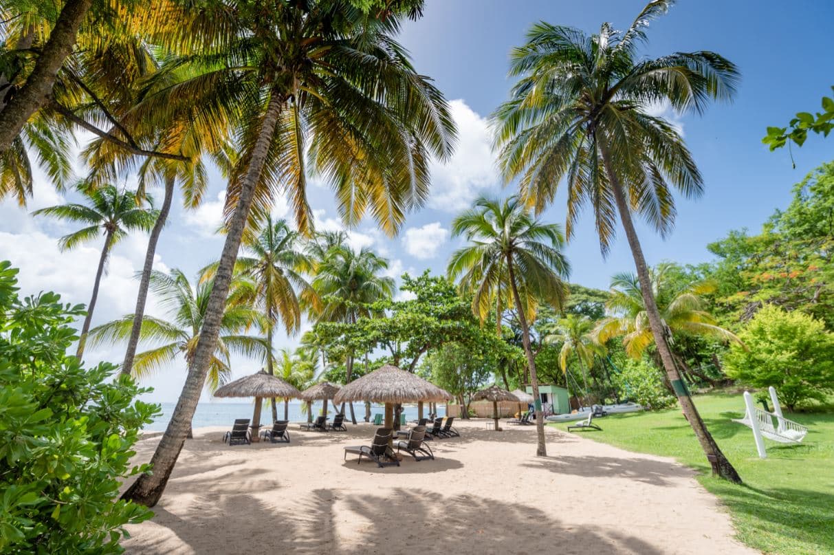 Saint Lucia  Offers