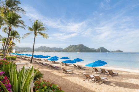 Saint Lucia  Offers